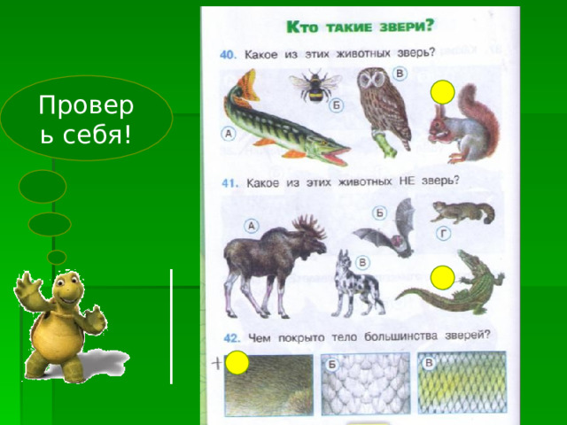 Звери окружающий мир 1. Звери окружающий мир 1 класс. Кто такие звери 1 класс окружающий мир. Примеры зверей окружающий мир 1 класс. Окружающий мир 1 класс что такие звери.