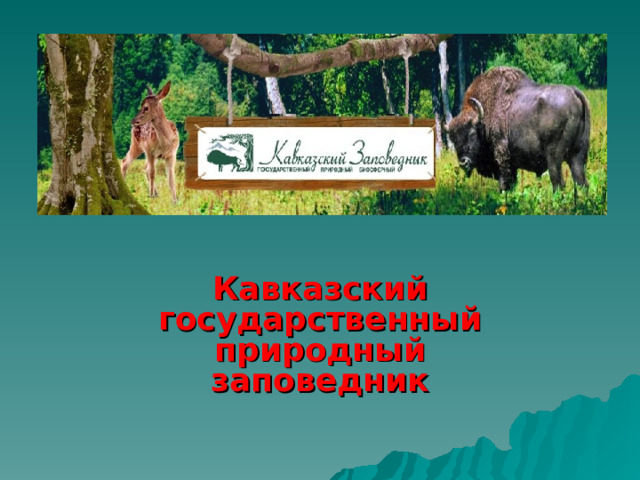  Кавказский государственный природный заповедник 