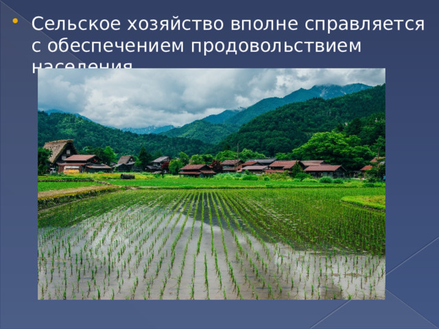 Сельское хозяйство вполне справляется с обеспечением продовольствием населения. 