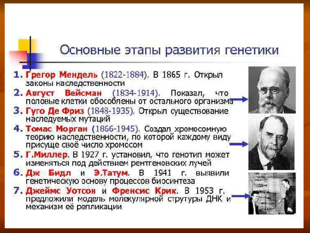 Генетика как отрасль биологической науки 9 класс презентация