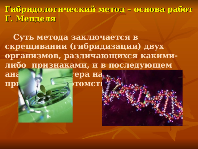 В генетике человека используют гибридологический метод. Задача на гибридологический метод кролики.