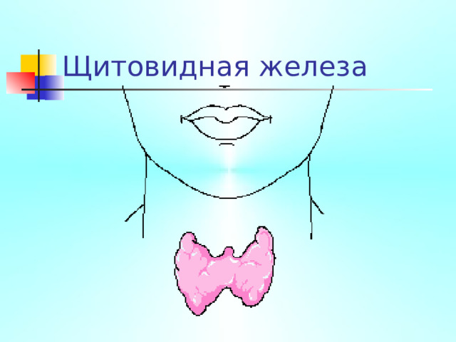 Щитовидная железа 