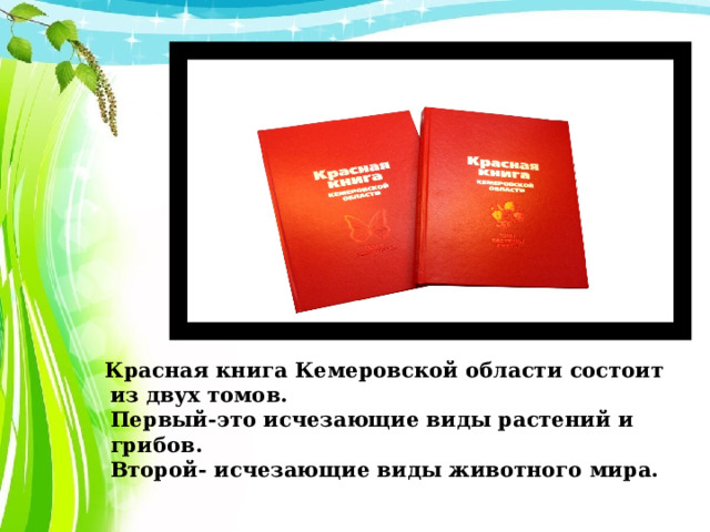     Красная книга Кемеровской области состоит из двух томов.  Первый-это исчезающие виды растений и грибов.  Второй- исчезающие виды животного мира. 