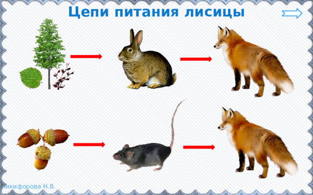 Цепи питания животных 3 класс. Чем питается лиса схема. Цепь питания лиса морковка. Питание лисы в виде Цепочки. Кто питается лисой из животных.