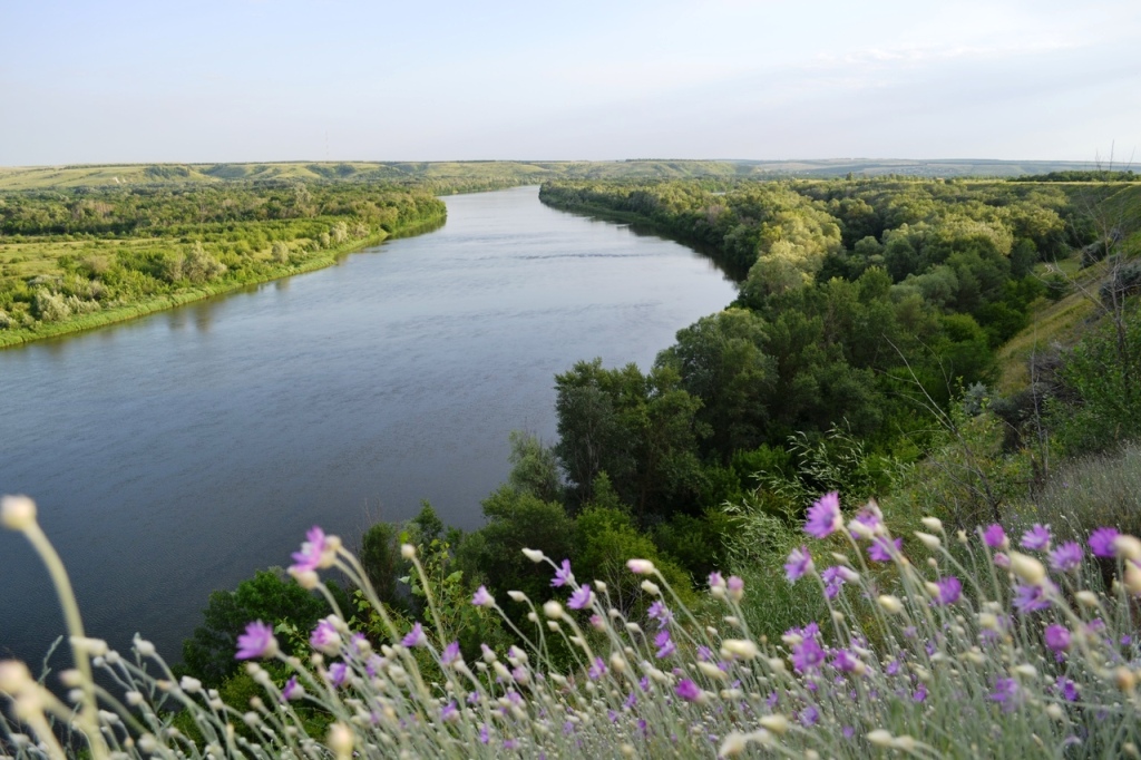 Фото донской край