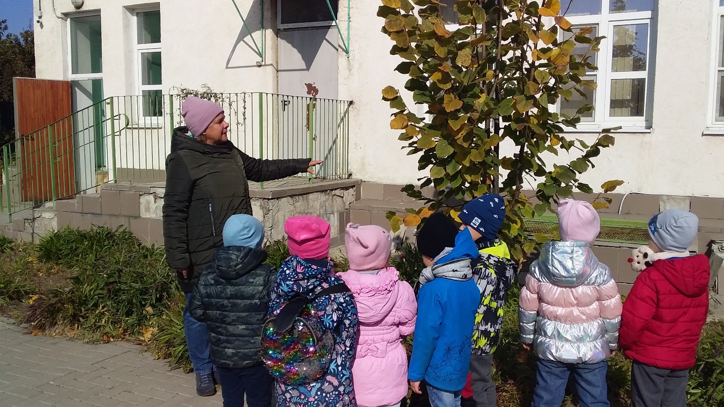 Конспект осенней прогулки в старшей группе в нашем саду листопад