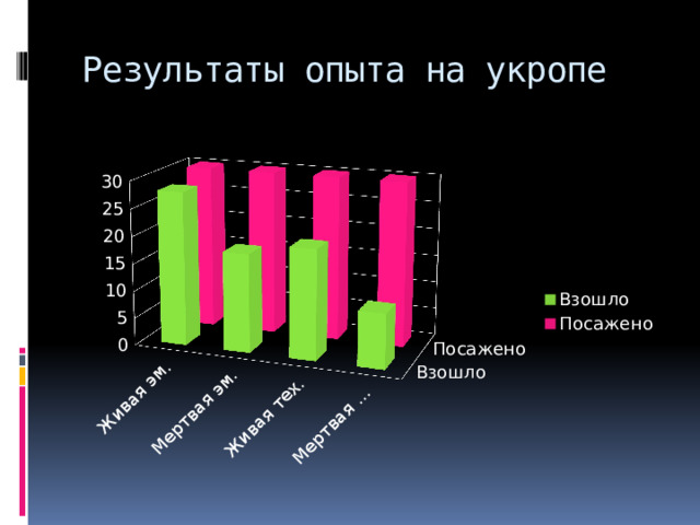 Результаты опыта на укропе  