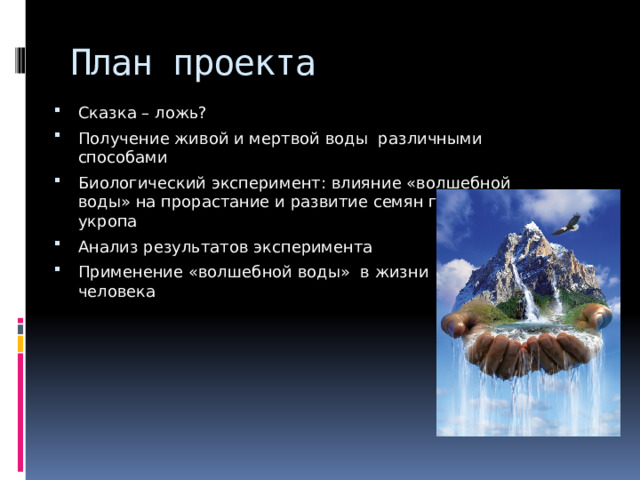 План проекта Сказка – ложь? Получение живой и мертвой воды различными способами Биологический эксперимент: влияние «волшебной воды» на прорастание и развитие семян гороха и укропа Анализ результатов эксперимента Применение «волшебной воды» в жизни человека 