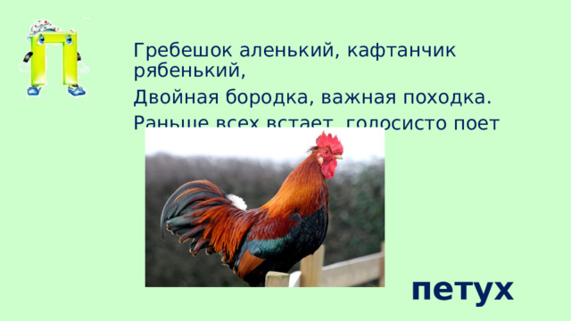 Гребешок аленький, кафтанчик рябенький, Двойная бородка, важная походка. Раньше всех встает, голосисто поет петух 