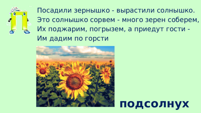 Посадили зернышко - вырастили солнышко. Это солнышко сорвем - много зерен соберем, Их поджарим, погрызем, а приедут гости - Им дадим по горсти подсолнух 