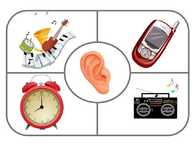 Картинки органы чувств для дошкольников
