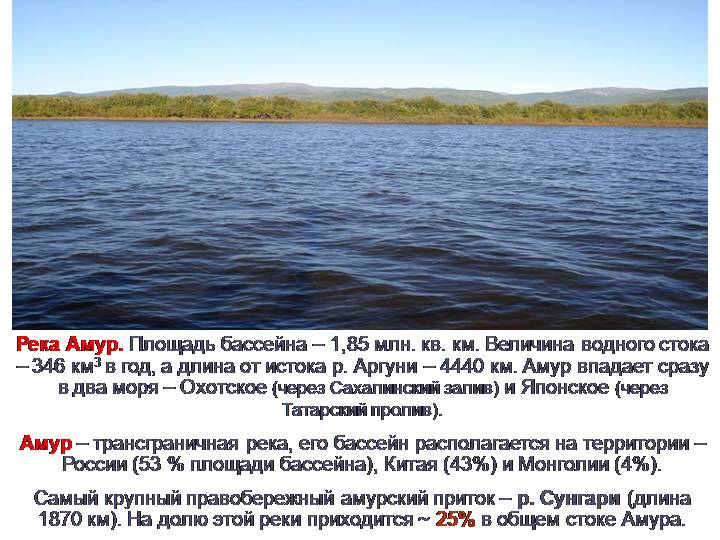 Задачи по математике для 9 класса. Тематика задач: "Река Амур""