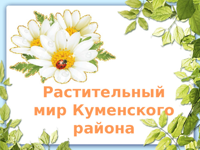 Растительный мир Куменского района 