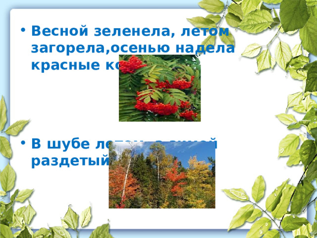 Весной зеленела, летом загорела,осенью надела красные кораллы В шубе летом, а зимой раздетый 