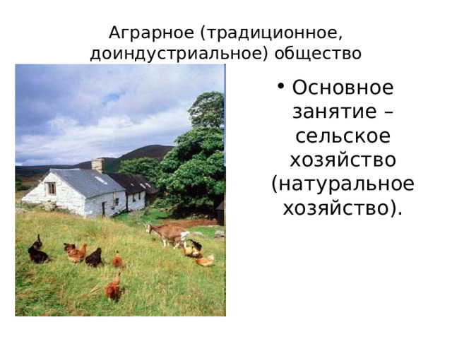 Аграрное (традиционное, доиндустриальное) общество Основное занятие – сельское хозяйство (натуральное хозяйство). 