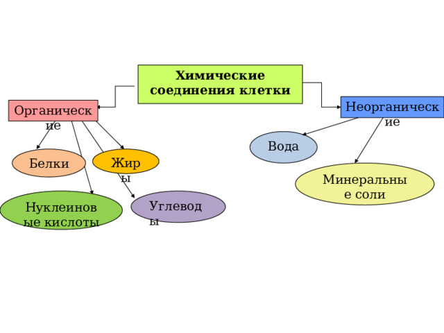 Диаграмма химический состав клетки 5 класс биология. Органические вещества клетки это вода белки Минеральные соли. Заполни схему вещества клетки. Тест химические вещества в клетке.