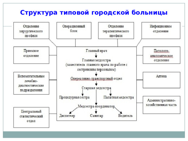 Структура типовой городской больницы 