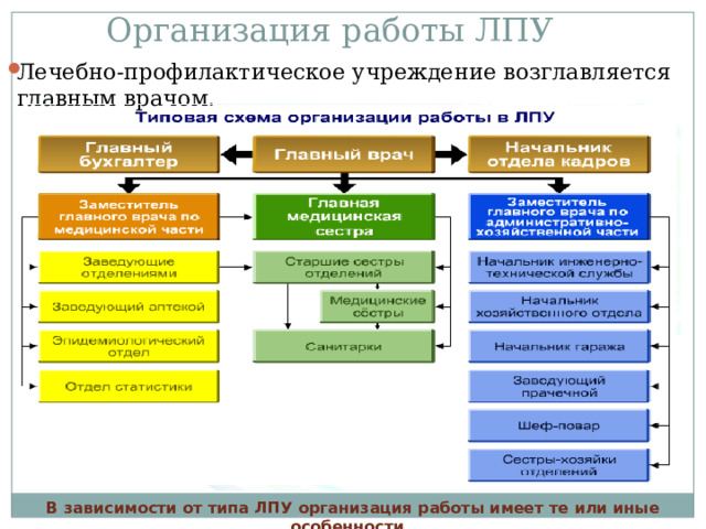 Организация работы ЛПУ Лечебно-профилактическое учреждение возглавляется главным врачом.  В зависимости от типа ЛПУ организация работы имеет те или иные особенности. 