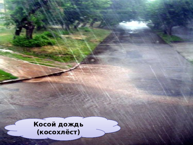 Косой дождь (косохлёст) 