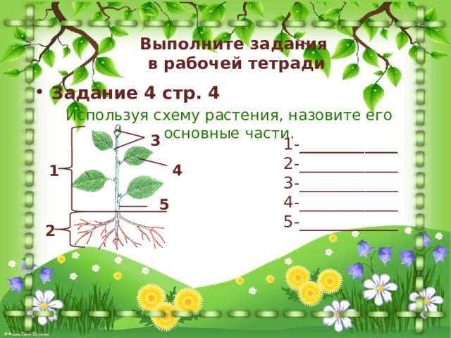 Выполните задания  в рабочей тетради Задание 4 стр. 4 Используя схему растения, назовите его основные части. 3 1- ____________ 2-____________ 3-____________ 4-____________ 5-____________  4 1 5 2 