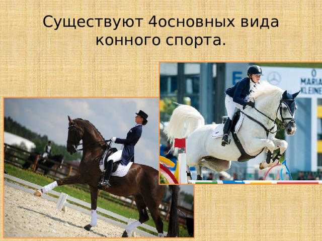 Индивидуальный проект про лошадей Сертификат Физкультура - Физкультура - Презентации