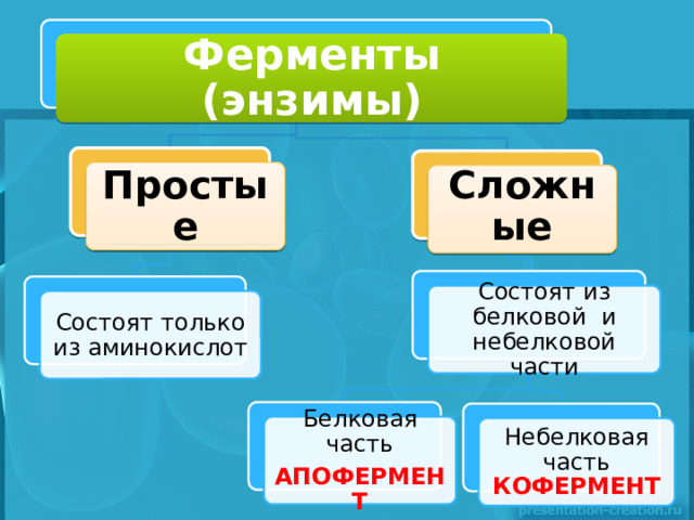 Ферменты (энзимы) Простые Сложные Состоят из белковой и небелковой части Состоят только из аминокислот Белковая часть АПОФЕРМЕНТ Небелковая часть КОФЕРМЕНТ 