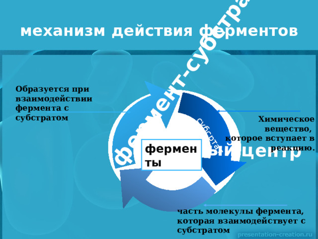  субсртат Активный центр фе р мент-субстратный комплекс механизм действия ферментов Образуется при взаимодействии фермента с субстратом   Химическое  вещество,  которое вступает в реакцию . ферменты часть молекулы фермента, которая взаимодействует с субстратом 