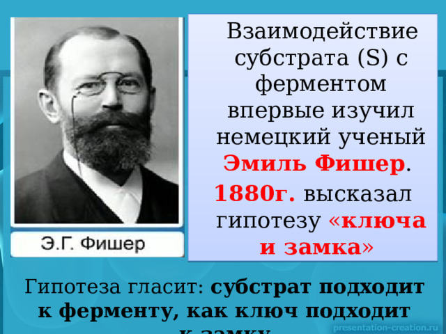  Взаимодействие субстрата (S) c ферментом впервые изучил немецкий ученый Эмиль Фишер . 1880г. высказал гипотезу « ключа и замка »  Гипотеза гласит:  субстрат подходит к ферменту, как ключ подходит к замку 