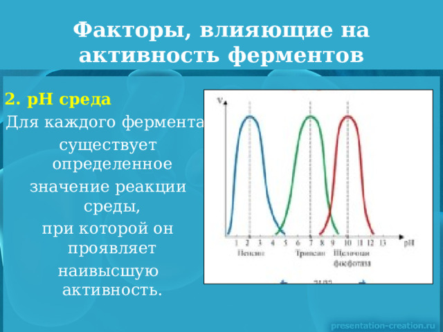 Факторы, влияющие на активность ферментов 2. pH среда Для каждого фермента  существует определенное  значение реакции среды,  при которой он проявляет  наивысшую активность. 