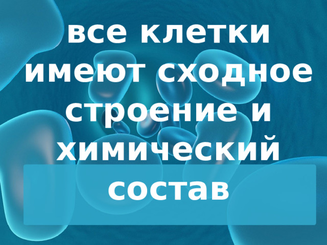 все клетки имеют сходное строение и химический состав 