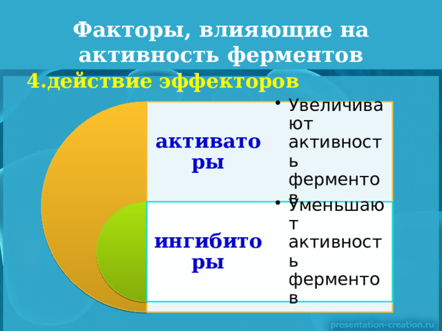 Факторы, влияющие на активность ферментов 4.действие эффекторов  активаторы Увеличивают активность ферментов Увеличивают активность ферментов ингибиторы Уменьшают активность ферментов Уменьшают активность ферментов 