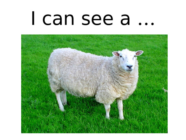 I can see a … 