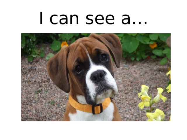 I can see a… 