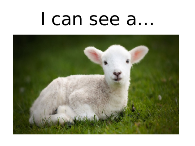 I can see a… 