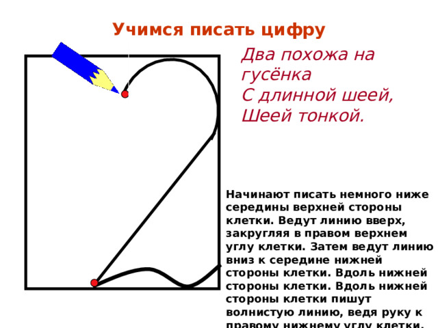 Учимся писать цифру Два похожа на гусёнка С длинной шеей, Шеей тонкой. Начинают писать немного ниже середины верхней стороны клетки. Ведут линию вверх, закругляя в правом верхнем углу клетки. Затем ведут линию вниз к середине нижней стороны клетки. Вдоль нижней стороны клетки. Вдоль нижней стороны клетки пишут волнистую линию, ведя руку к правому нижнему углу клетки. 