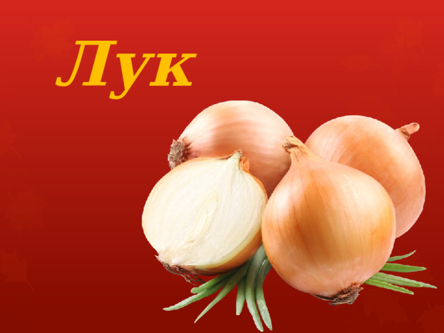 Лук 