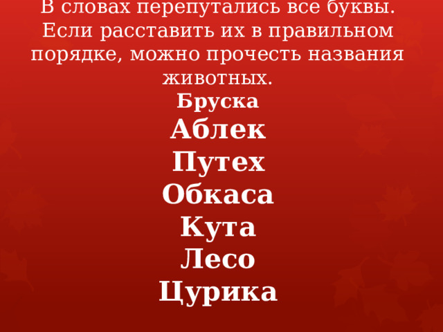 В словах перепутались все буквы. Если расставить их в правильном порядке, можно прочесть названия животных.  Бруска  Аблек  Путех  Обкаса  Кута  Лесо  Цурика   
