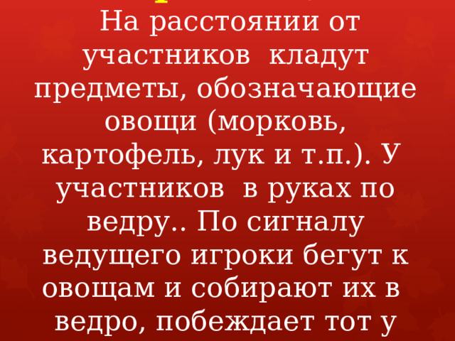 «Сбор овощей».  На расстоянии от участников кладут предметы, обозначающие овощи (морковь, картофель, лук и т.п.). У участников в руках по ведру.. По сигналу ведущего игроки бегут к овощам и собирают их в ведро, побеждает тот у кого больше овощей.   