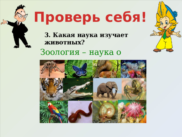 Проверь себя! 3. Какая наука изучает животных? Зоология – наука о животных. 