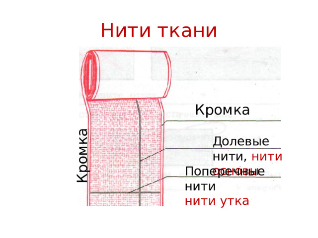 Кромка Нити ткани Кромка Долевые нити, нити основы Поперечные нити нити утка 