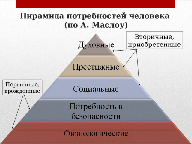 Пирамида потребностей человека  (по А. Маслоу) Вторичные, приобретенные Первичные, врожденные 