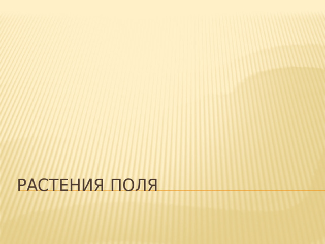 РАСТЕНИЯ ПОЛЯ 