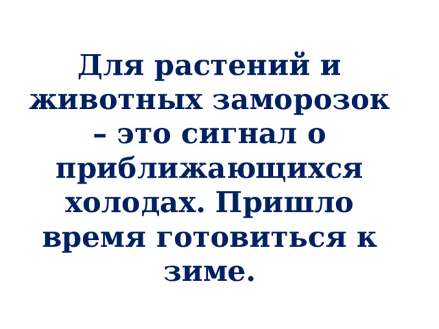 Для растений и животных заморозок – это сигнал о приближающихся холодах. Пришло время готовиться к зиме. 