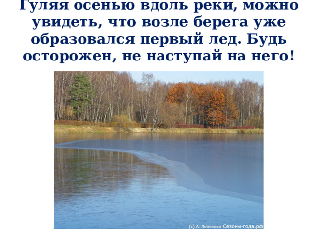 Гуляя осенью вдоль реки, можно увидеть, что возле берега уже образовался первый лед. Будь осторожен, не наступай на него! 