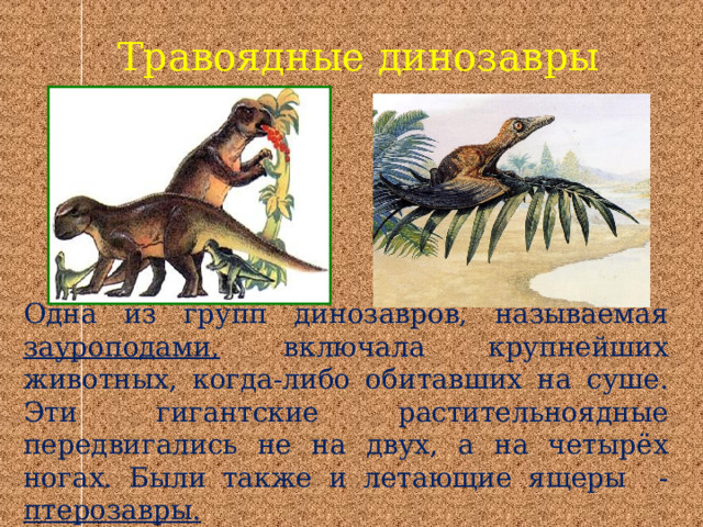 Травоядные динозавры Одна из групп динозавров, называемая зауроподами, включала крупнейших животных, когда-либо обитавших на суше. Эти гигантские растительноядные передвигались не на двух, а на четырёх ногах. Были также и летающие ящеры - птерозавры.  