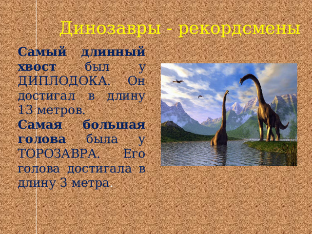 Динозавры - рекордсмены Самый длинный хвост был у ДИПЛОДОКА. Он достигал в длину 13 метров. Самая большая голова была у ТОРОЗАВРА. Его голова достигала в длину 3 метра . 