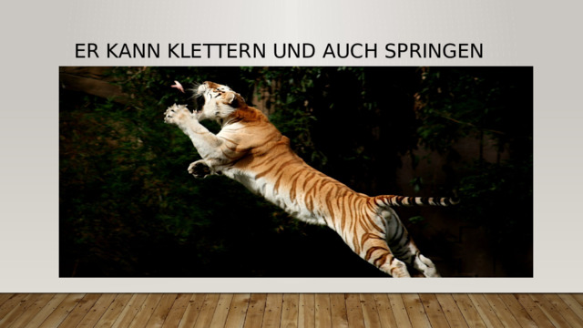 Er kann klettern und auch springen 