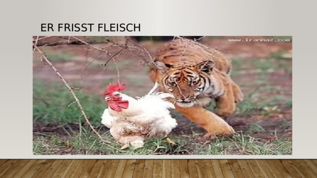 Er frisst Fleisch 