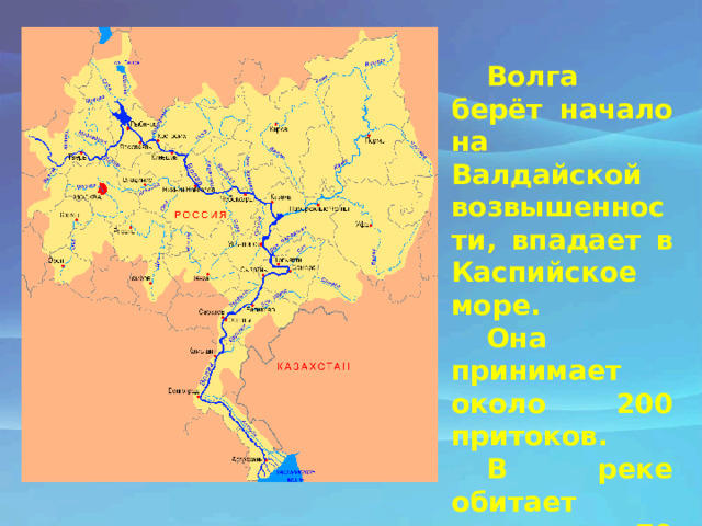 Куда впадает Волга в какое море на карте.