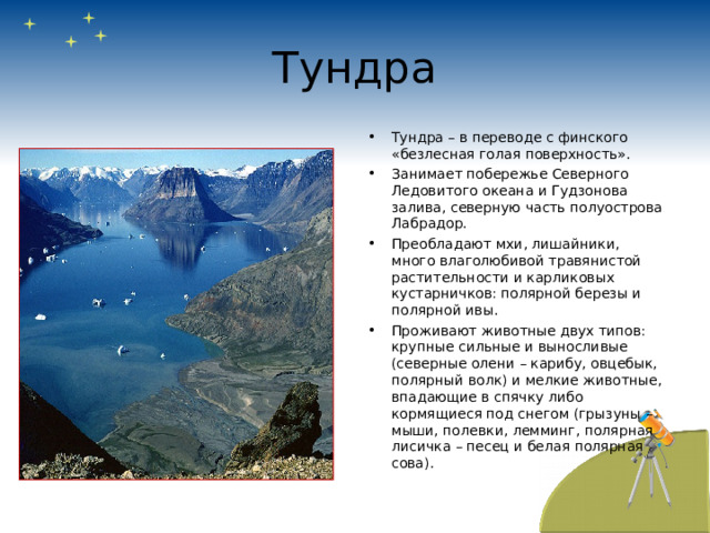 Тундра Тундра – в переводе с финского «безлесная голая поверхность». Занимает побережье Северного Ледовитого океана и Гудзонова залива, северную часть полуострова Лабрадор. Преобладают мхи, лишайники, много влаголюбивой травянистой растительности и карликовых кустарничков: полярной березы и полярной ивы. Проживают животные двух типов: крупные сильные и выносливые (северные олени – карибу, овцебык, полярный волк) и мелкие животные, впадающие в спячку либо кормящиеся под снегом (грызуны – мыши, полевки, лемминг, полярная лисичка – песец и белая полярная сова). 